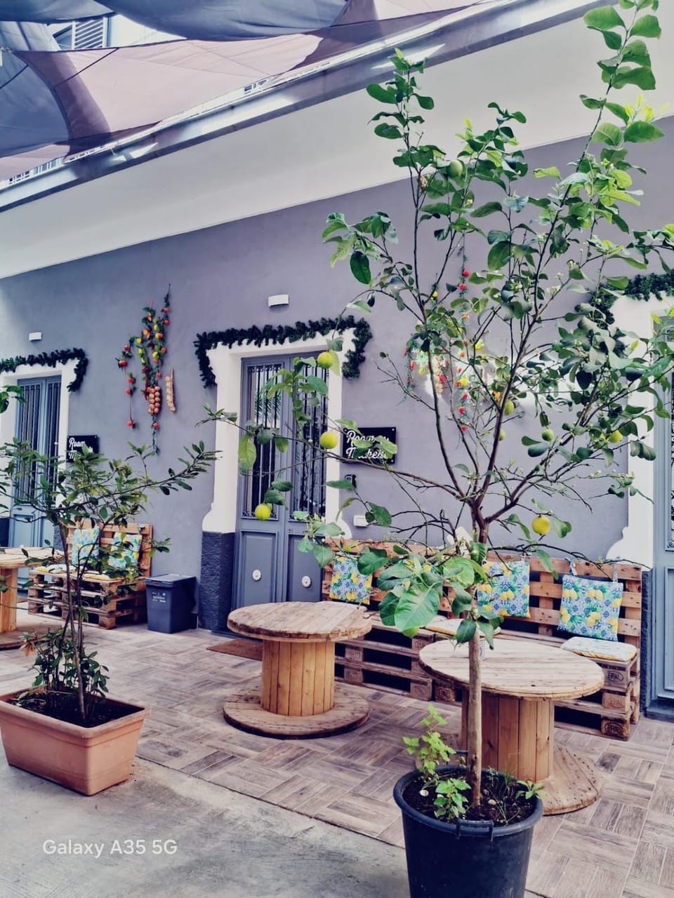Patio, Day, Garden, Garden view
