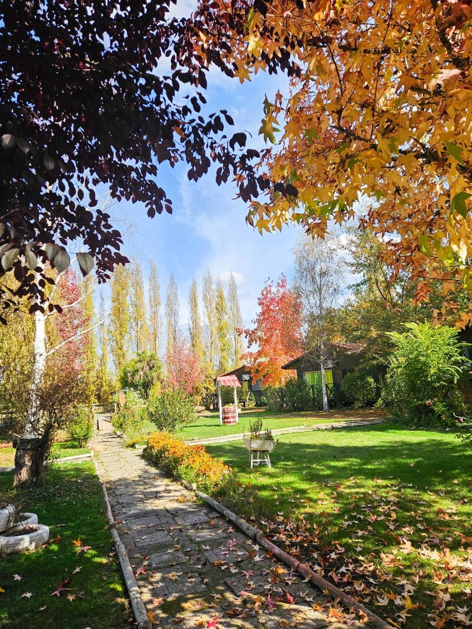 Property building, Day, Natural landscape, Garden, Garden view