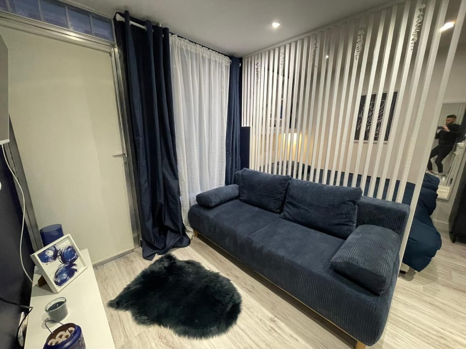 Charmant T1bis Centre Apartment in Toulouse