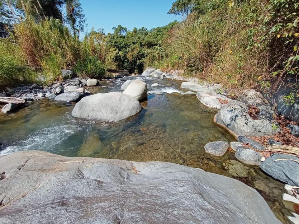River view