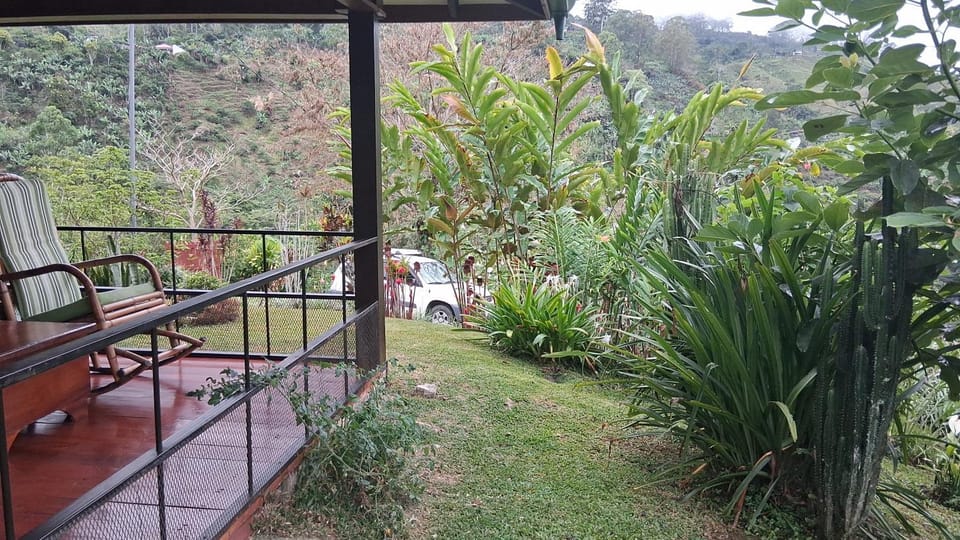 Garden view