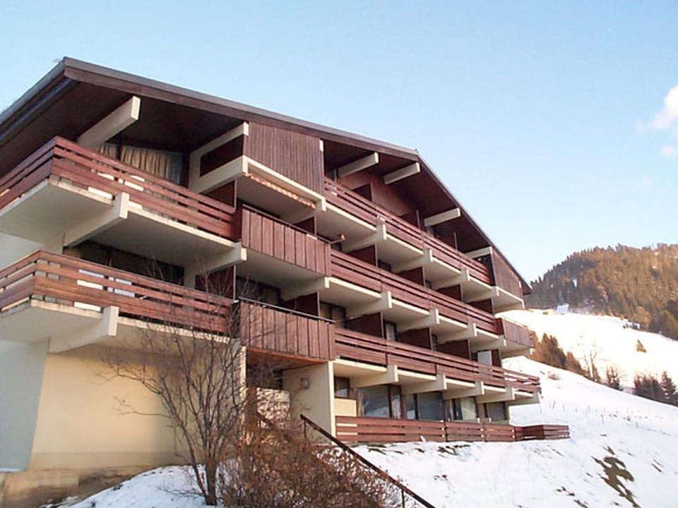 Châtel: T2 cosy 4 pers avec balcon - FR-1-198-268 Apartment in Châtel