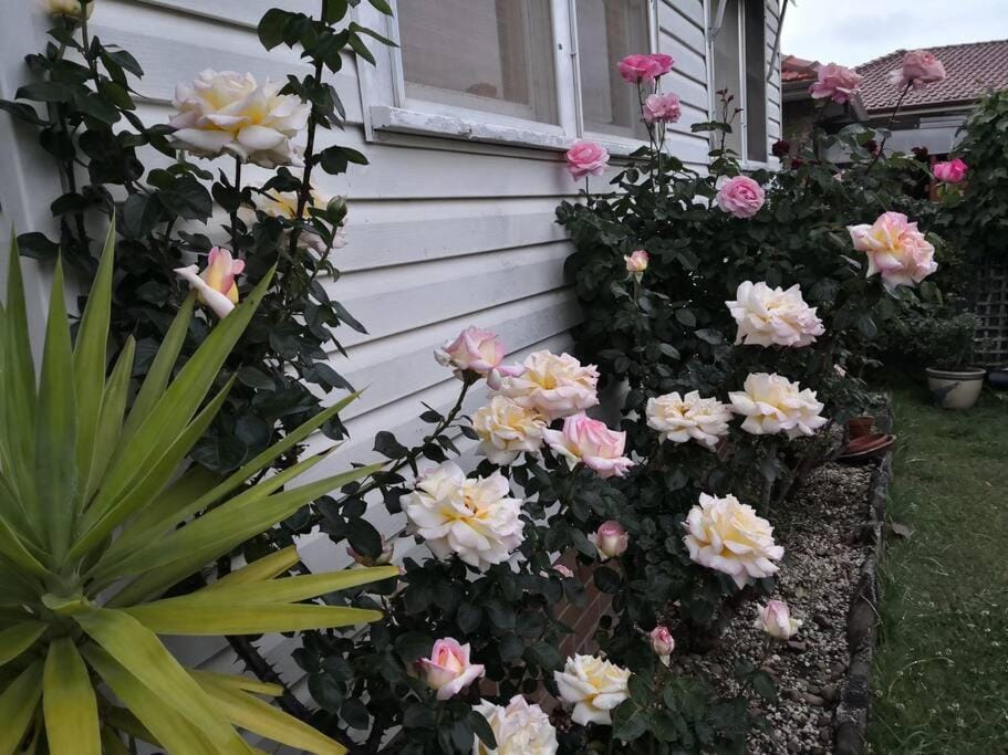 Roomy rosegarden flat in Roselands Apartment in Sydney