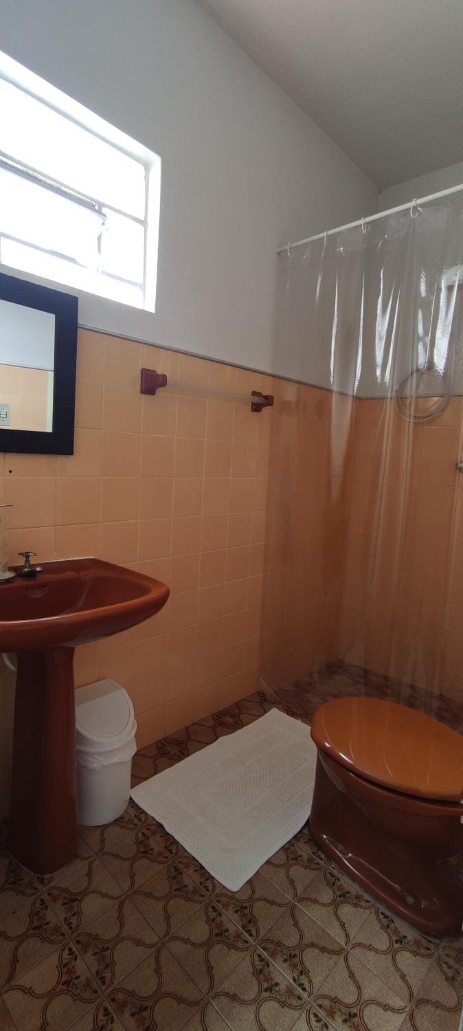 Toilet, Bathroom, Internal: Not applicable to any particular room