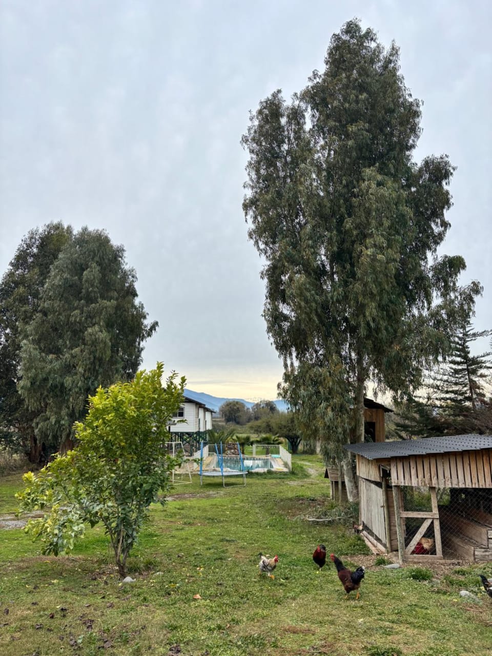 Los Cipreses de Colchagua Apartment in O'Higgins, Chile