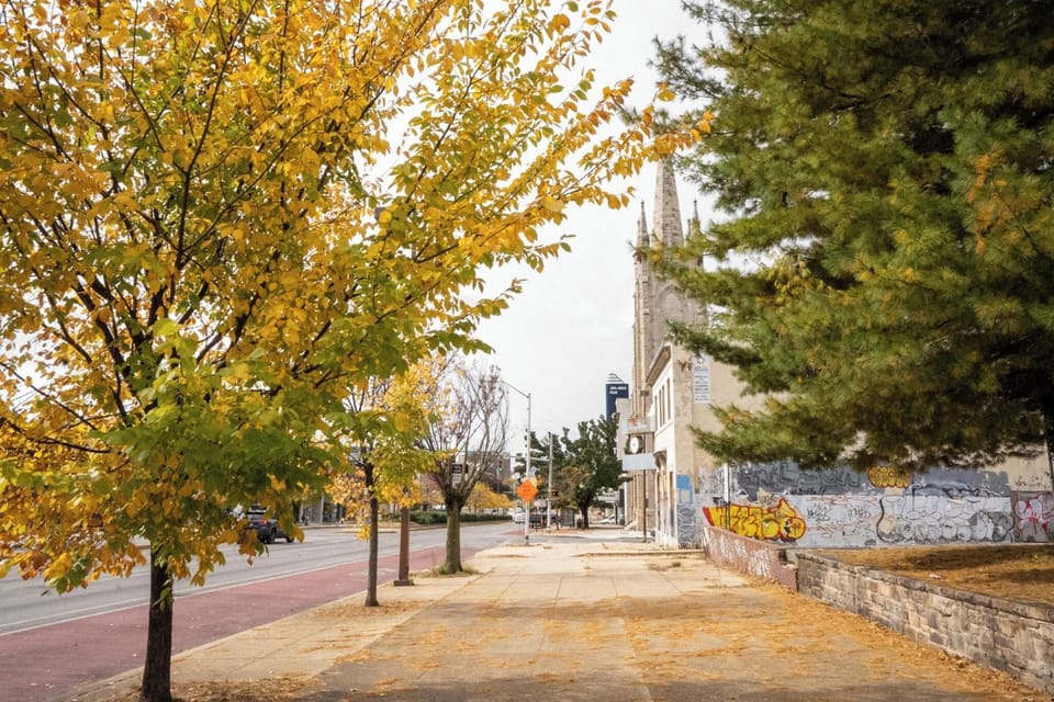 Spring, Day, Neighbourhood, Natural landscape, Street view