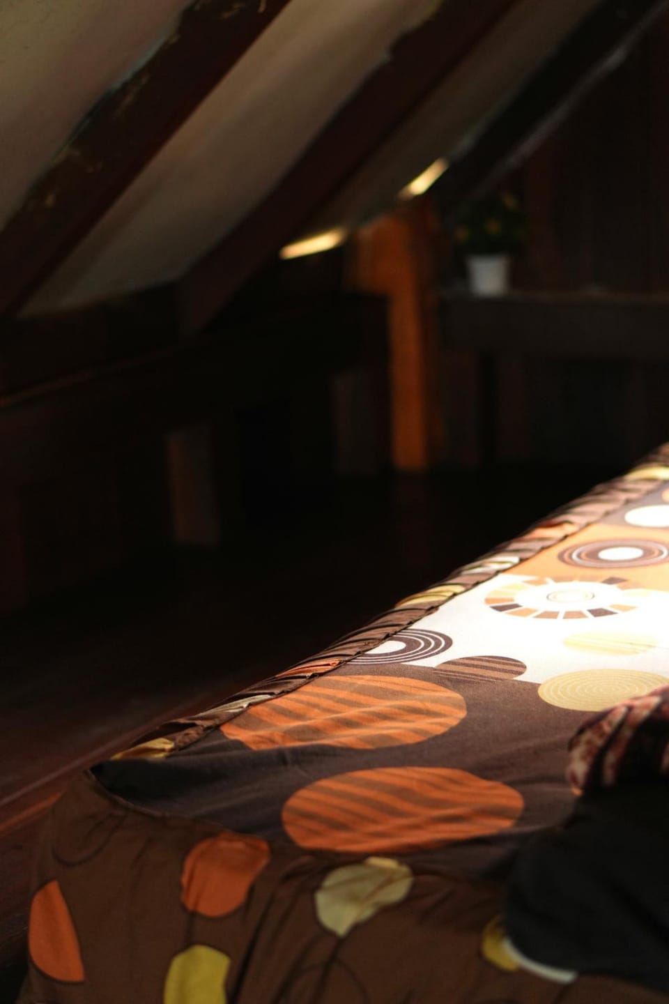 Swindo Homestay 77, Small House Bed and Breakfast in Indonesia