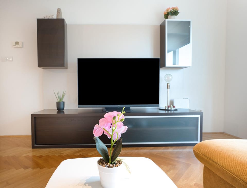 Communal lounge/ TV room, TV and multimedia, Living room, Seating area, Evening entertainment