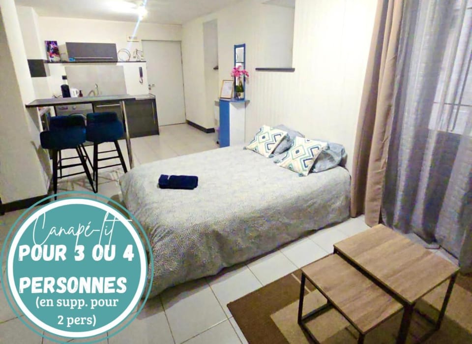 Agréable t2 calme centre-ville Cahors Apartment in Cahors
