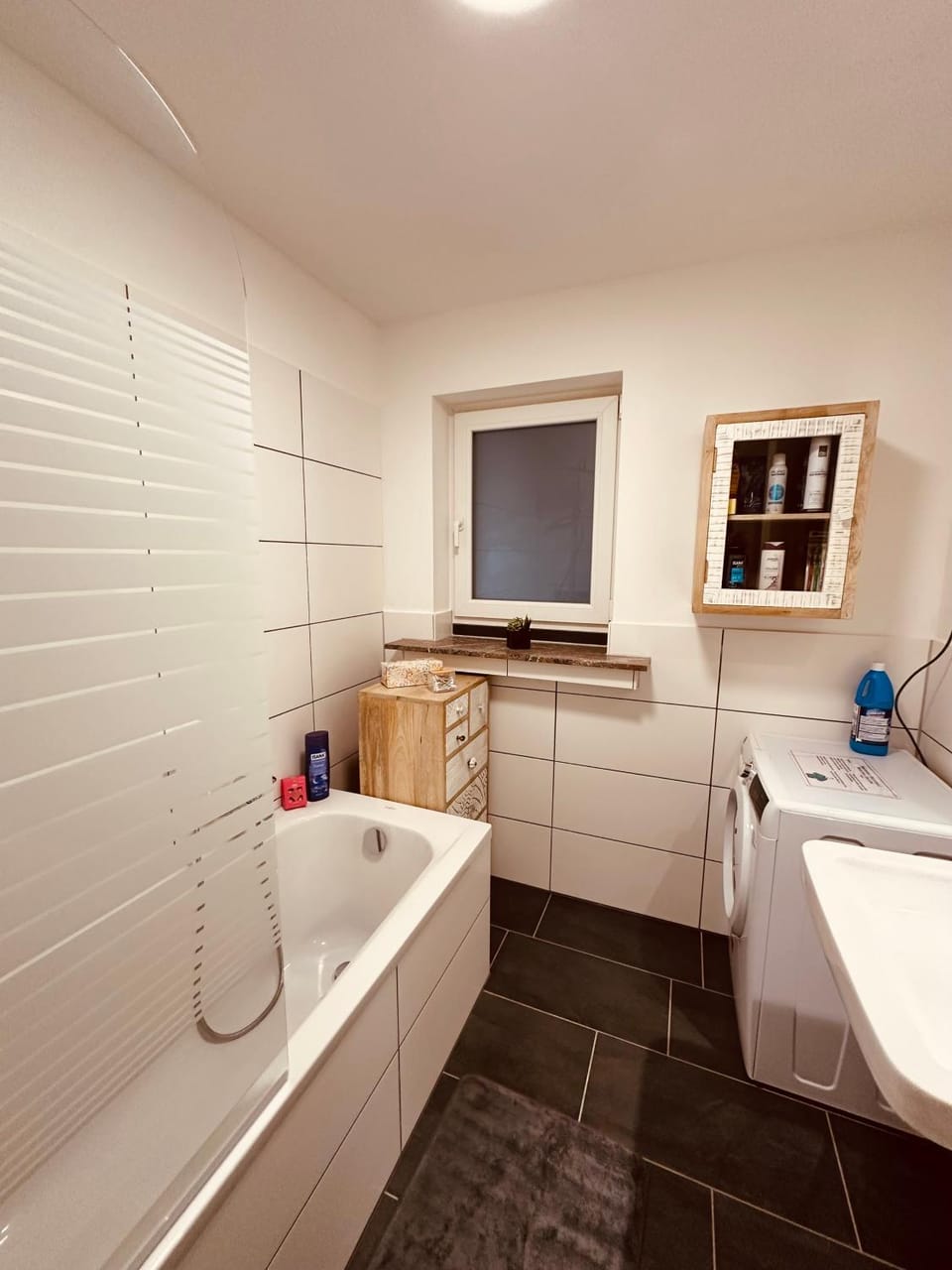 Shower, Bathroom, Photo of the whole room, Bath, hair dryier, washing machine, dryer