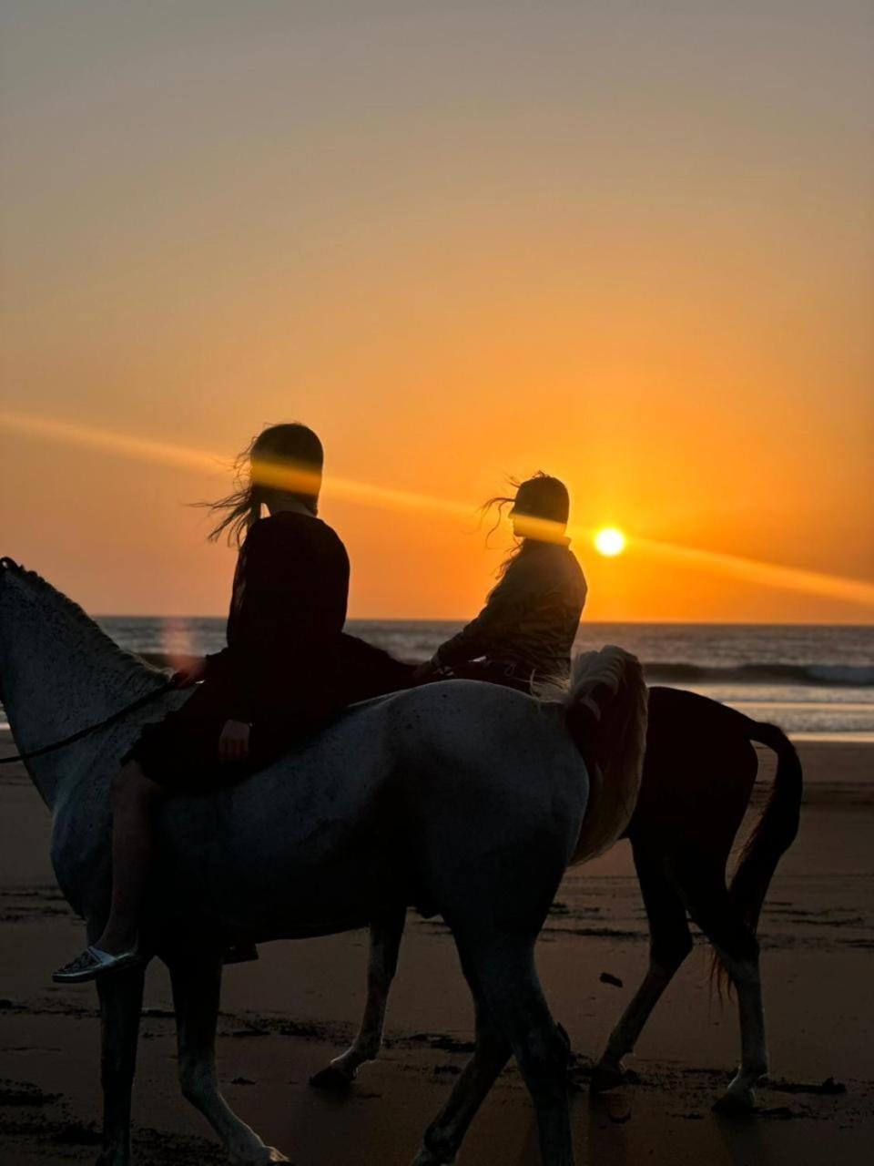 ,,,''' Sidi kaouki Tayoukhte Surf House with Pool ''' ,,, Surfing lessons, Horse Riding & Quad adventures ,,, Local experiences all in one place Bed and Breakfast in Marrakesh-Safi