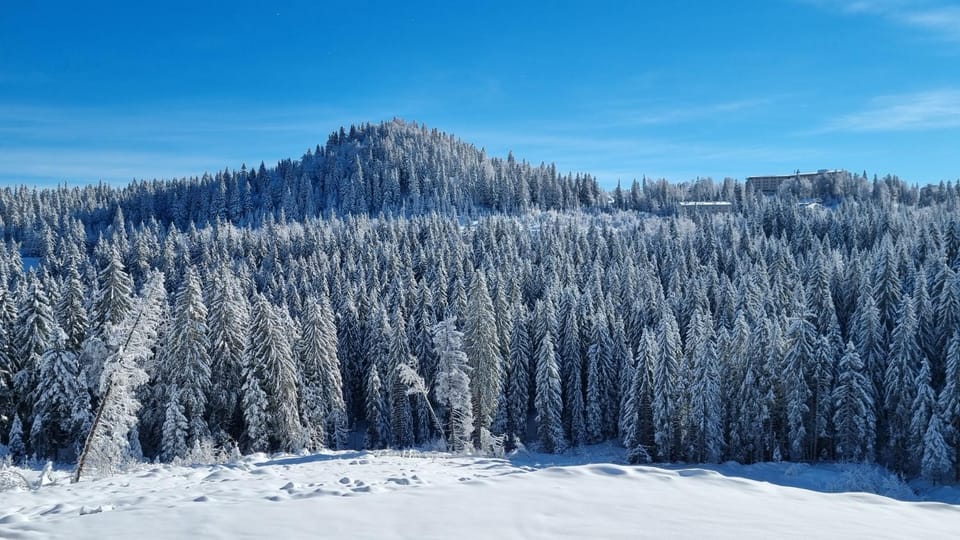 Natural landscape, Winter, View (from property/room), Mountain view