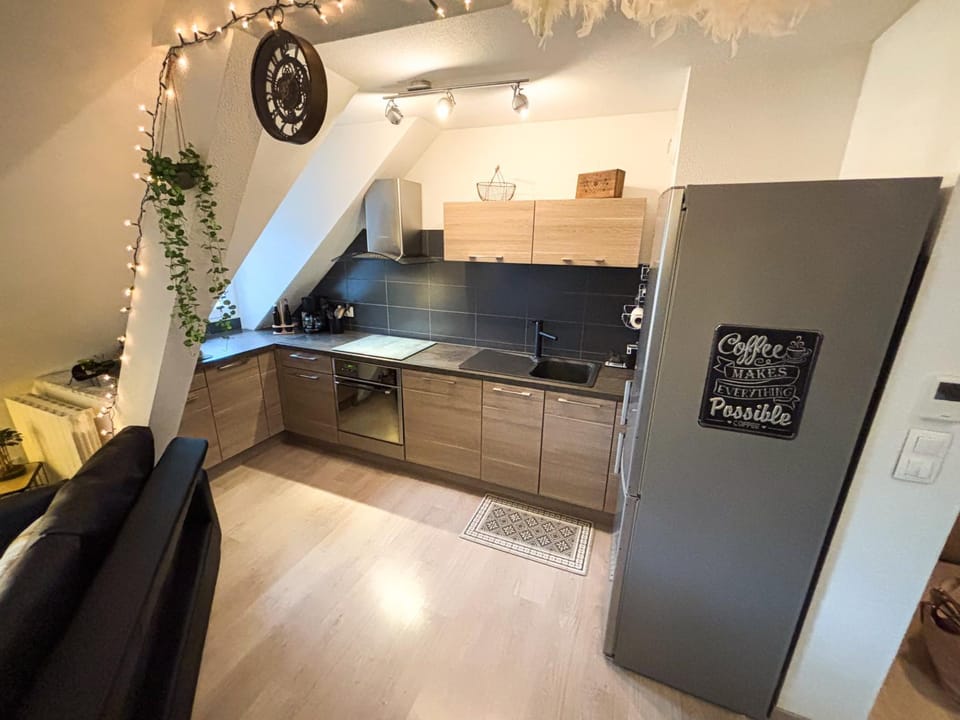 oven, stove