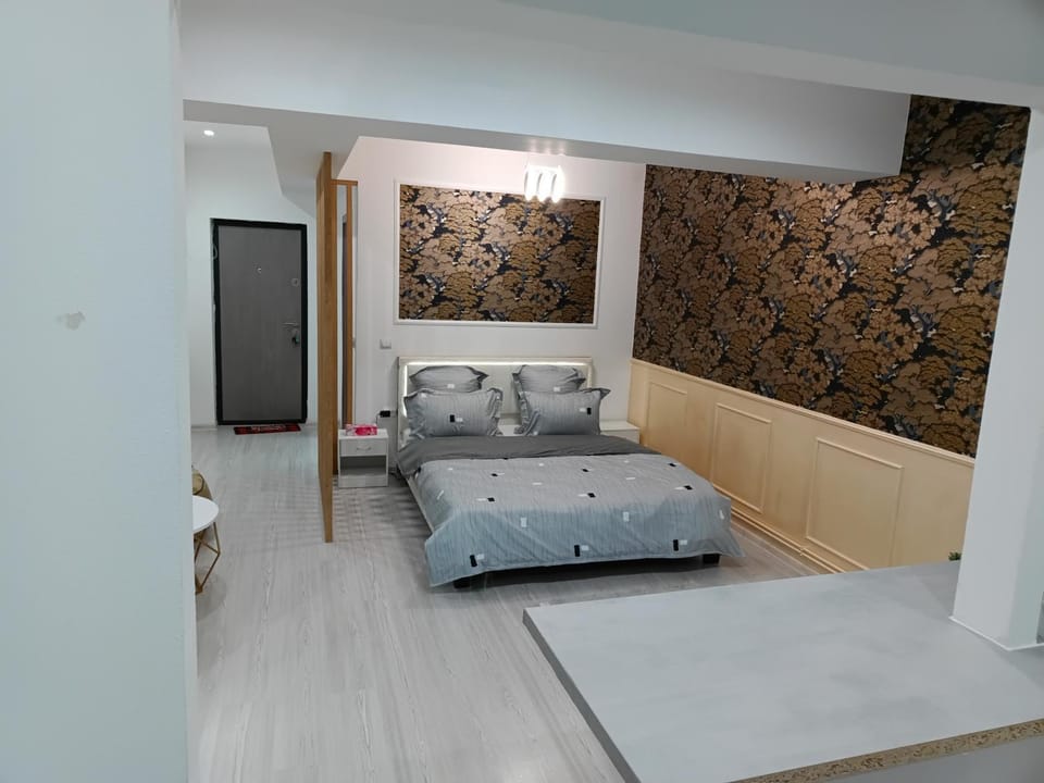 Lumière Lounge Apartment in Craiova