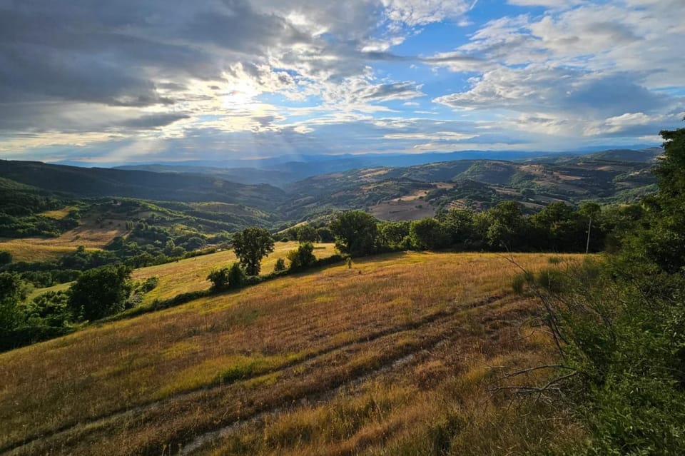 Mountain view