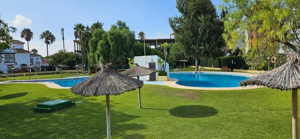 Day, Garden, Garden, Garden view, Pool view, sunbed