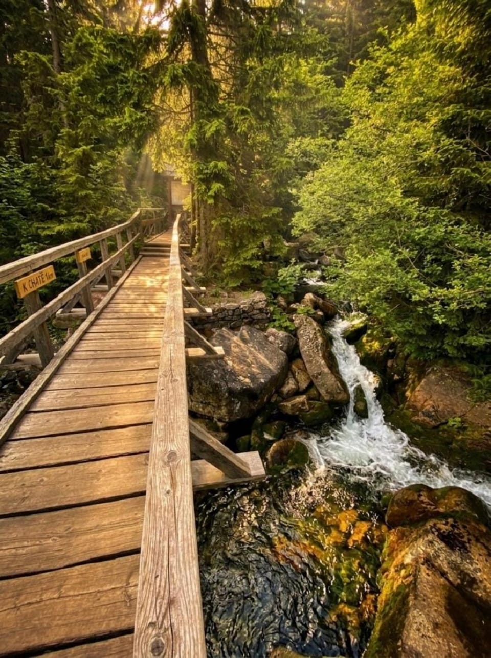Summer, Hiking, Hiking, Cycling