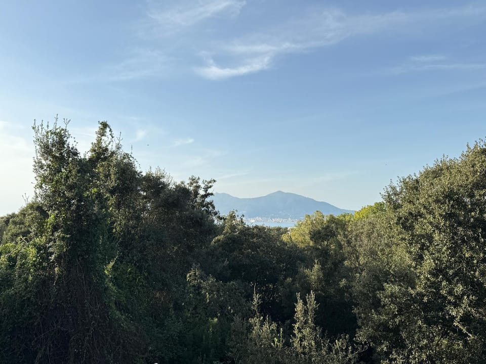 View (from property/room)