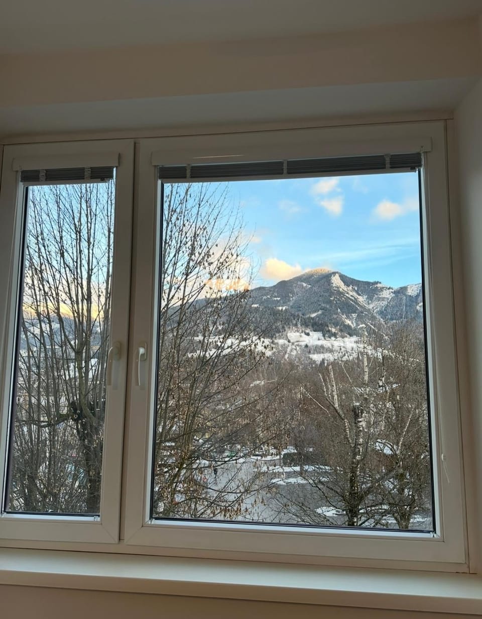 Apartment Zoe Apartment in Zell am See
