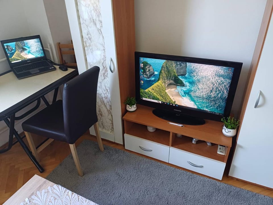 TV and multimedia