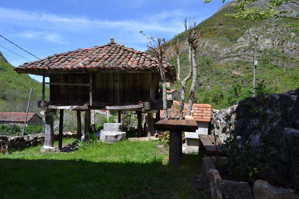 Patio, BBQ facilities, Garden