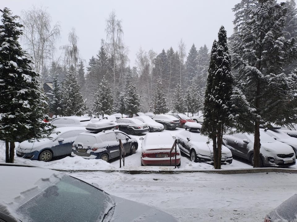 Winter
