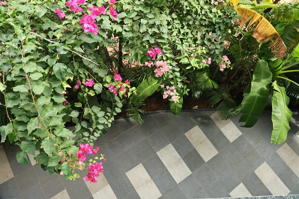 Day, Garden, Garden view