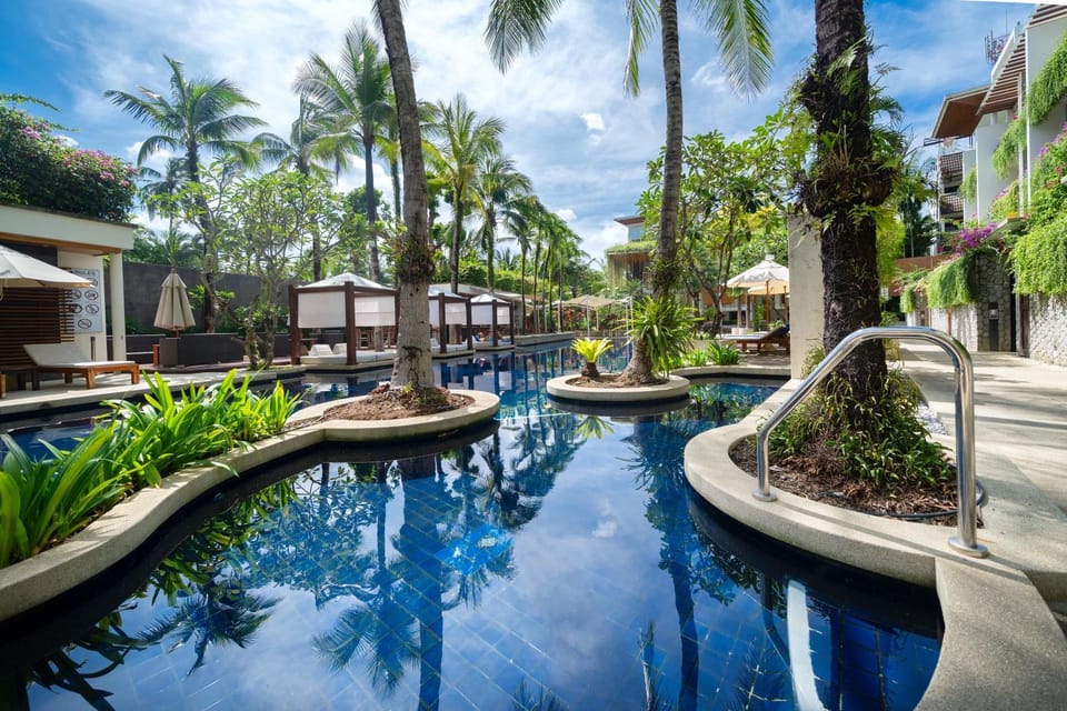 Day, Garden, Swimming pool, Swimming pool, sunbed