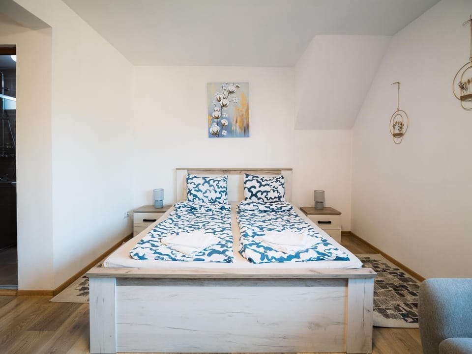 Ikon Apartment in Romania