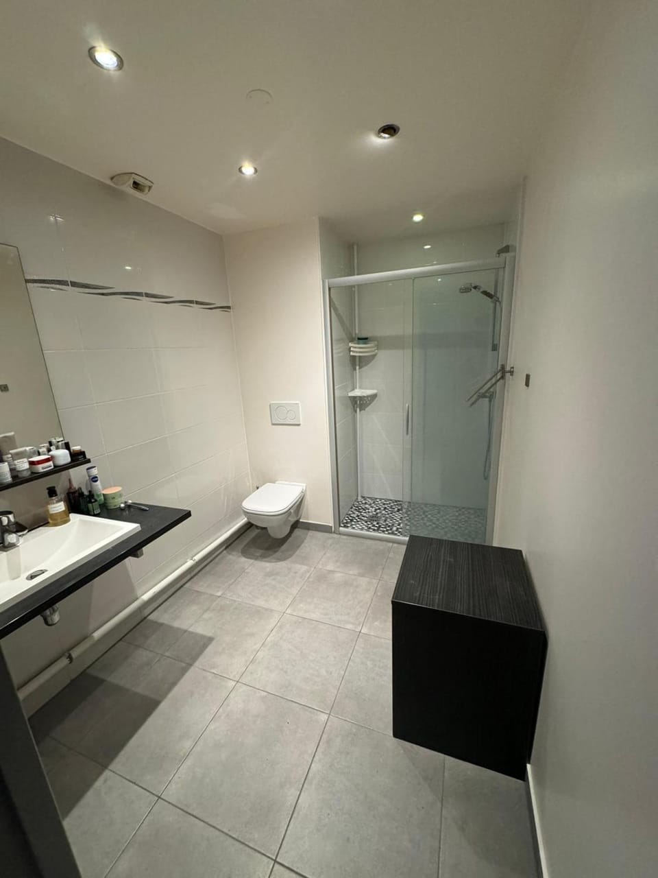 Studio Chablais Park Apartment in Annemasse