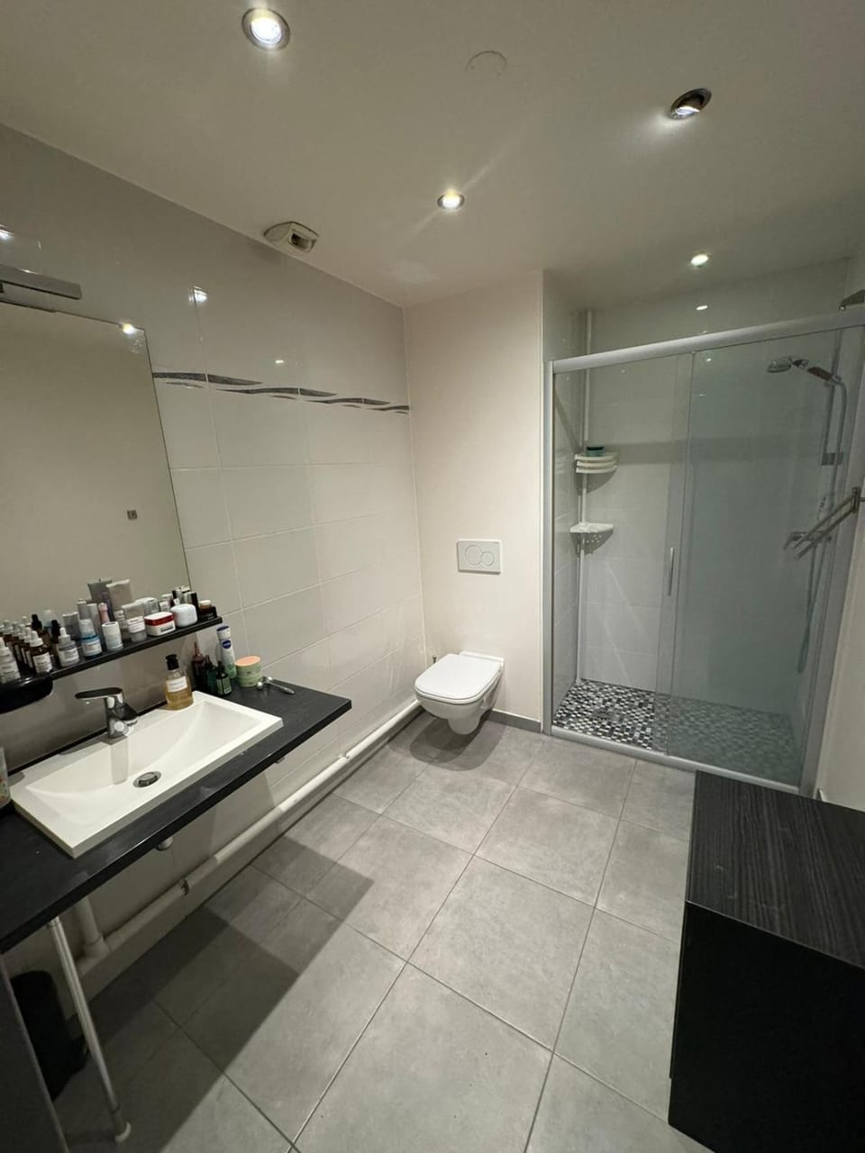 Studio Chablais Park Apartment in Annemasse