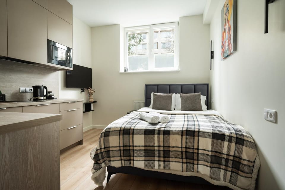 Studio Chic Apartment in Vilnius