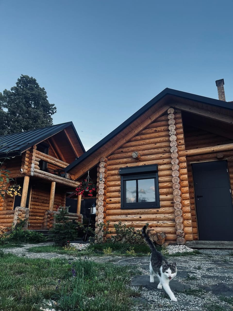 Property building, Pets