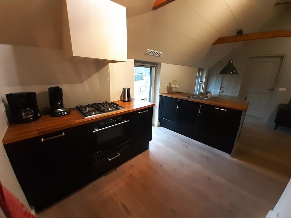 Kitchen or kitchenette, dishwasher, oven, stove