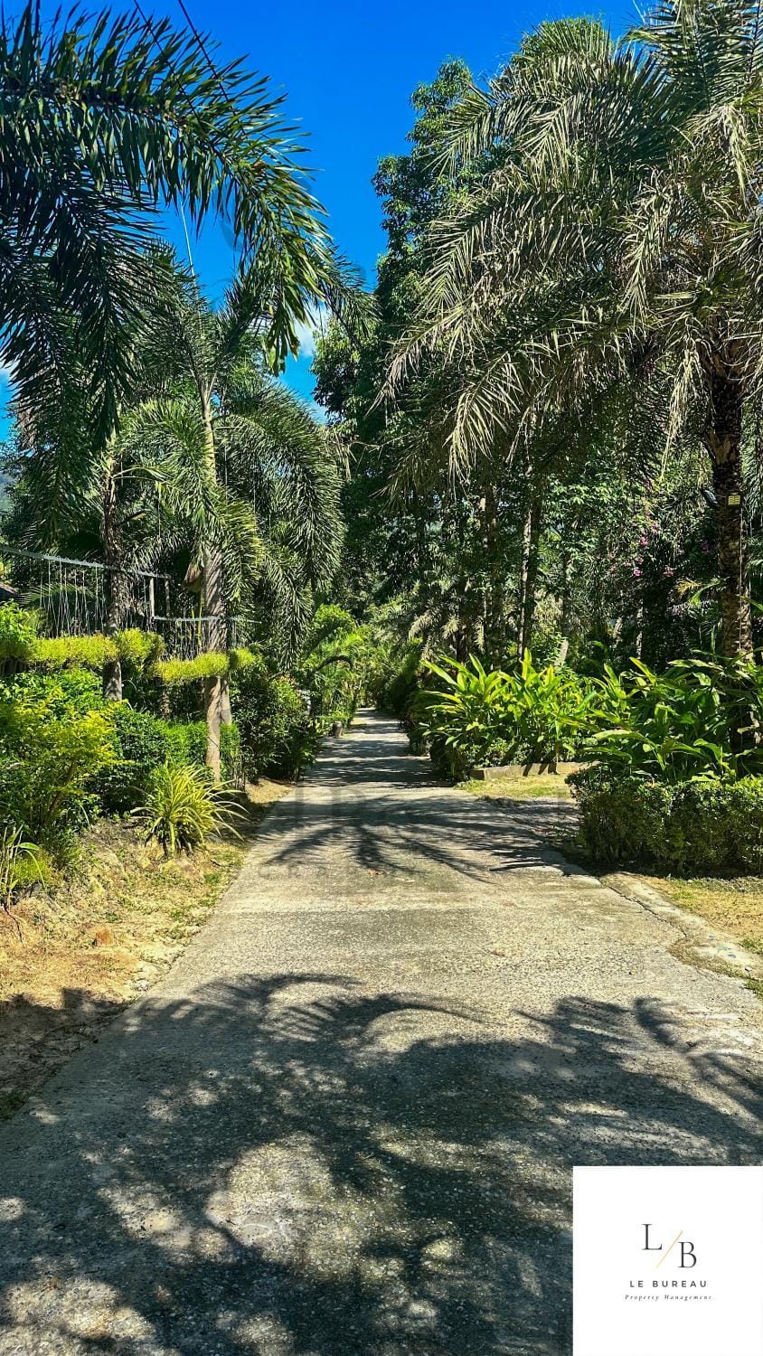 Day, Neighbourhood, Natural landscape