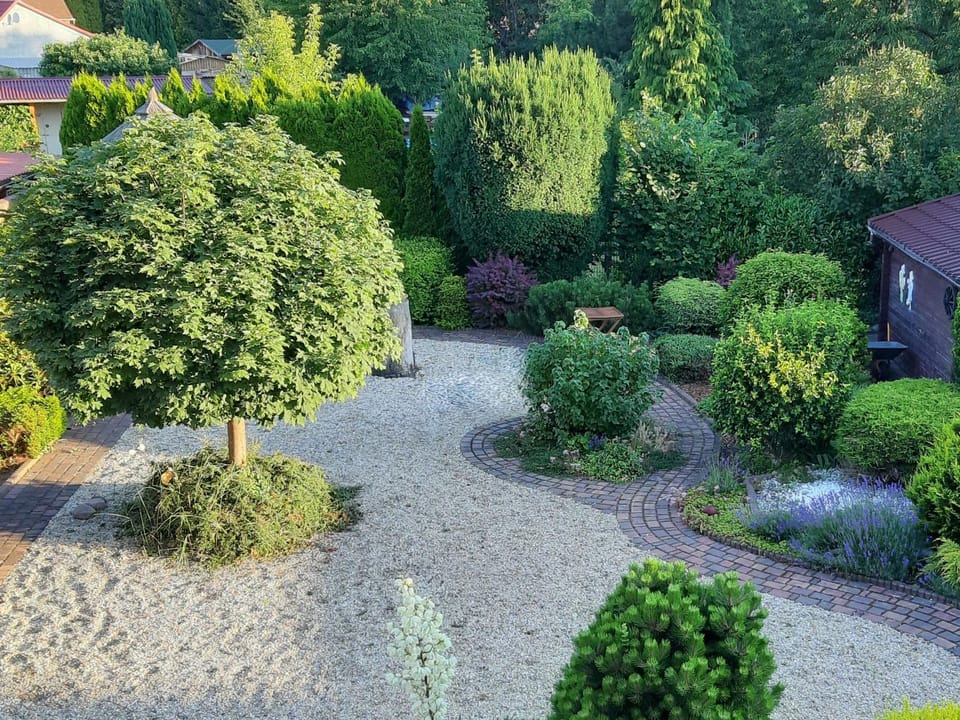 Garden, Garden, Garden view, Garden view
