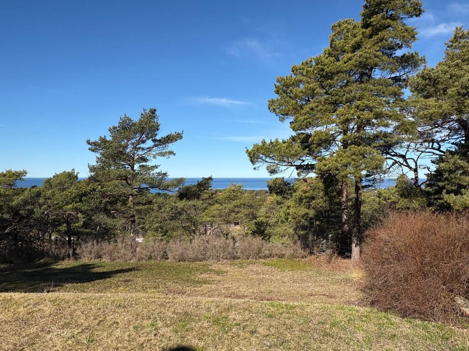 Sea view