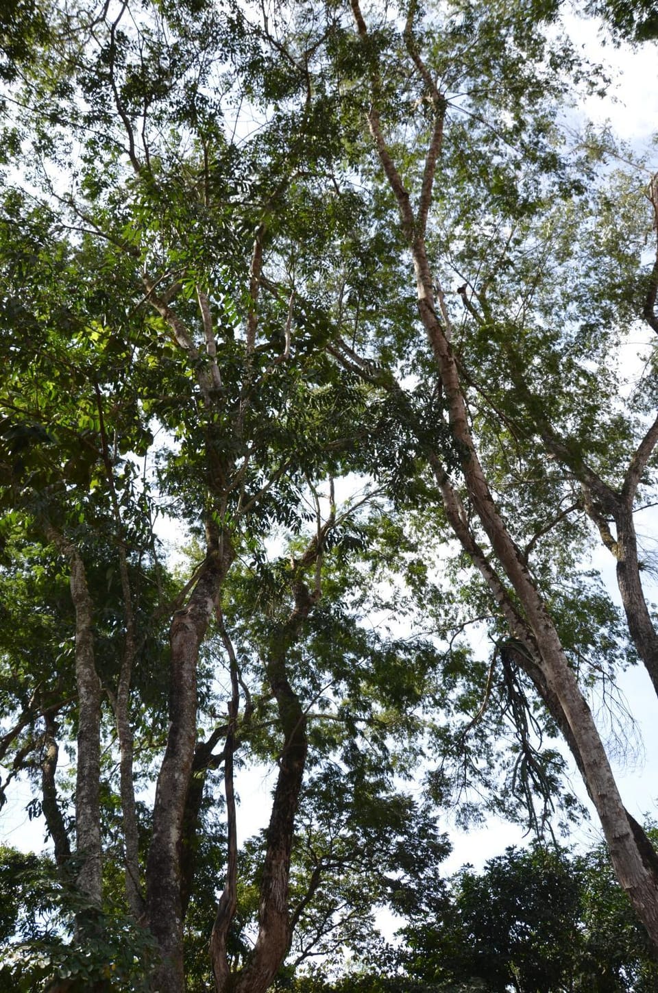 Natural landscape