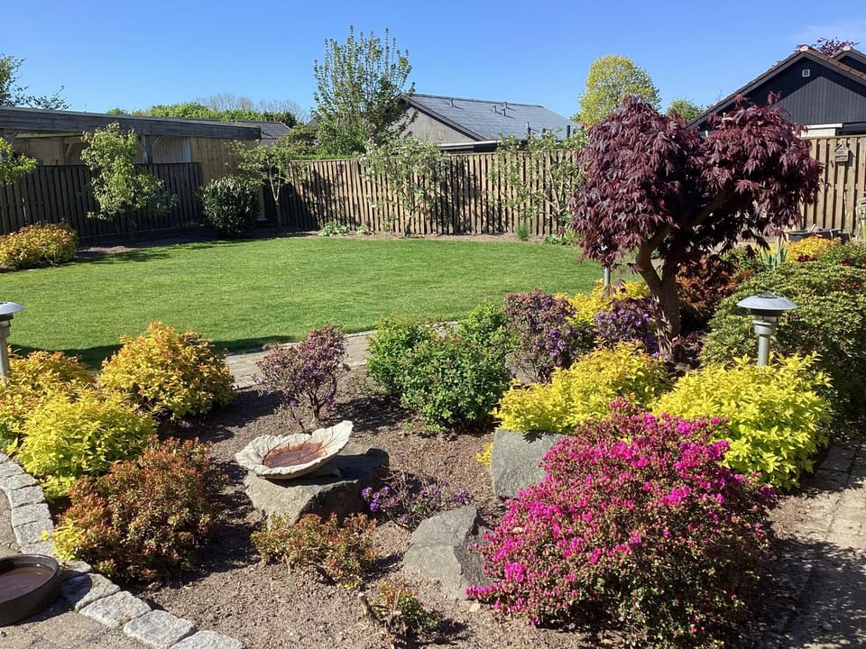 Garden view