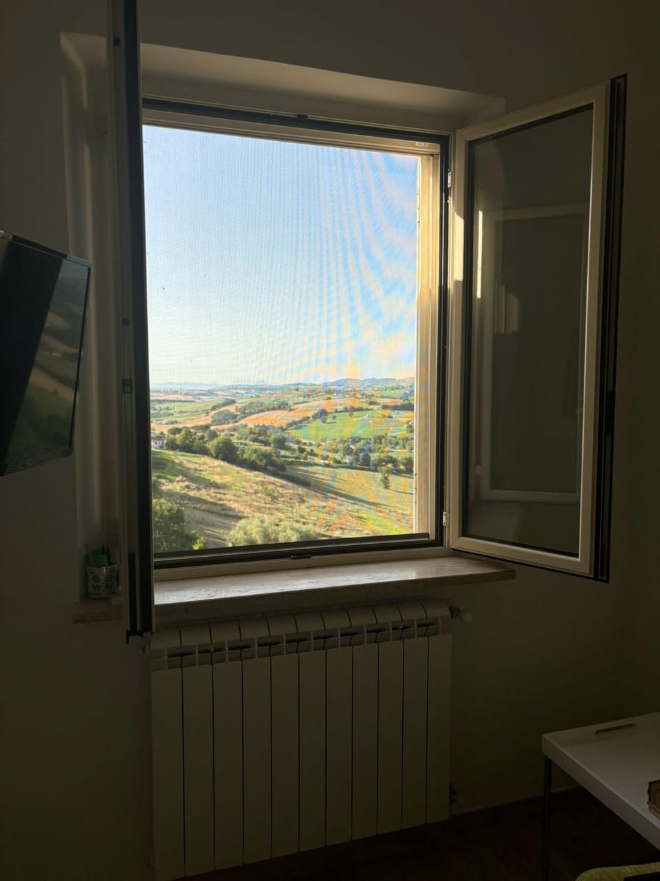 Mountain view