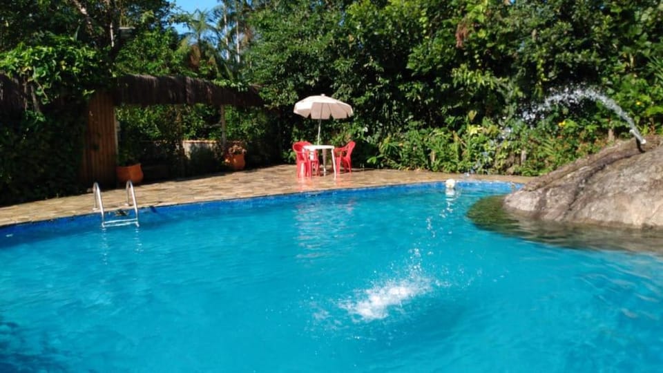 Spring, Day, Garden, Garden view, Pool view, Swimming pool, Swimming pool, sunbed