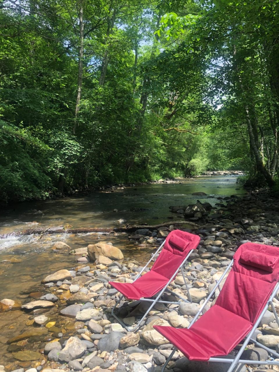 River view, sunbed