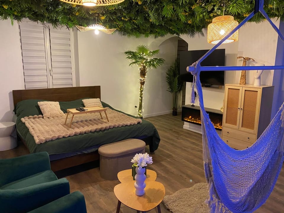 Suite Tropicale Apartment in Sélestat
