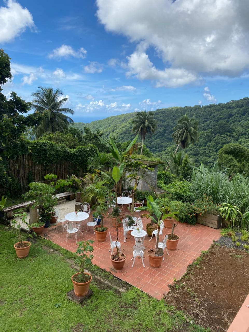 Natural landscape, Garden, Sea view