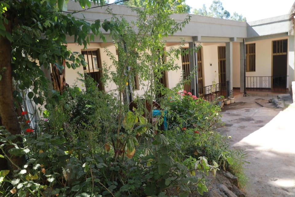 Garden view