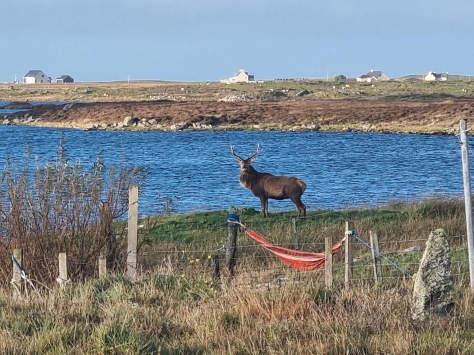 Taigh Morangie, Stoneybridge, South Uist, Outer Hebrides House in Scotland