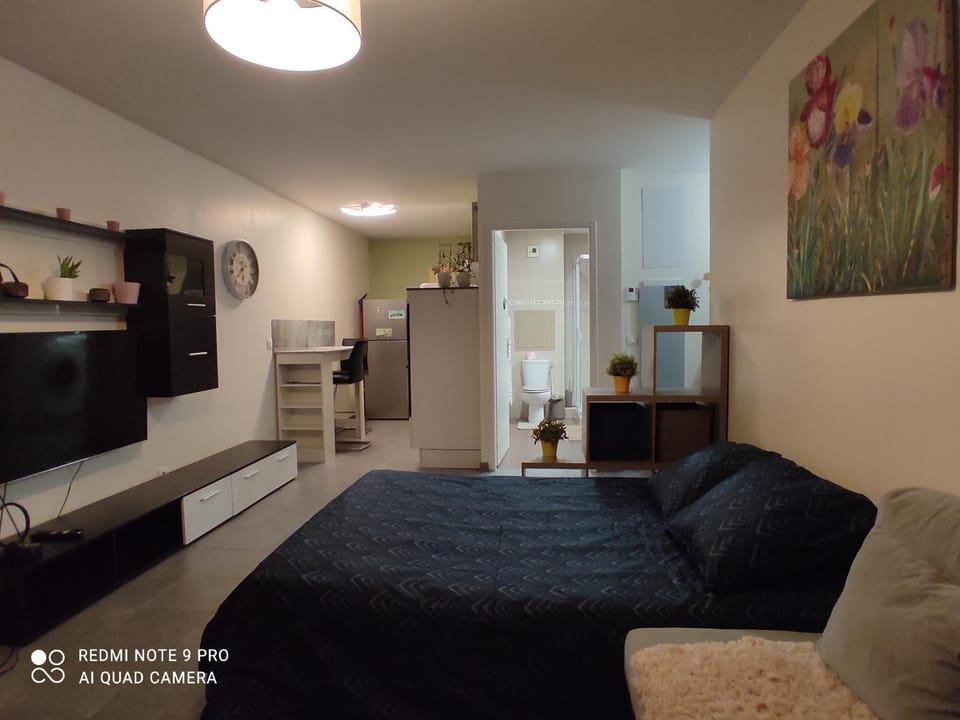 Studio l'Essentiel Apartment in Chambery