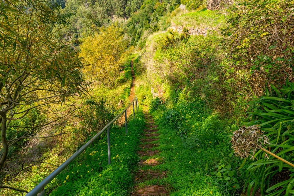 Natural landscape