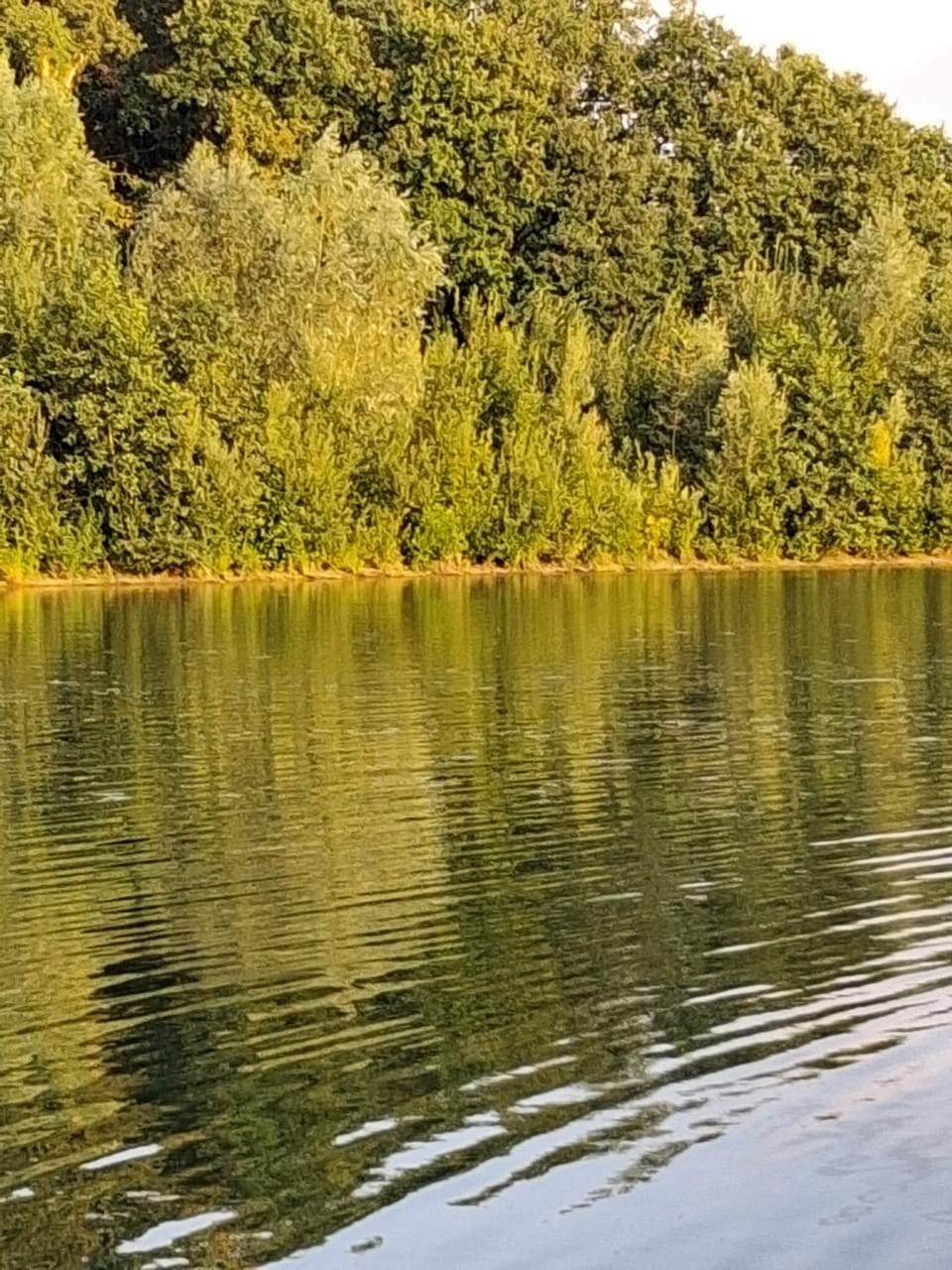 Natural landscape, River view