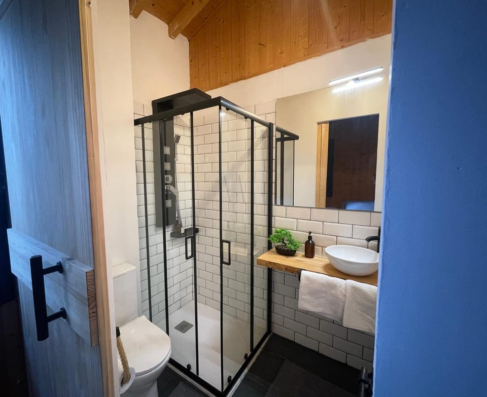 Shower, Bathroom, towels